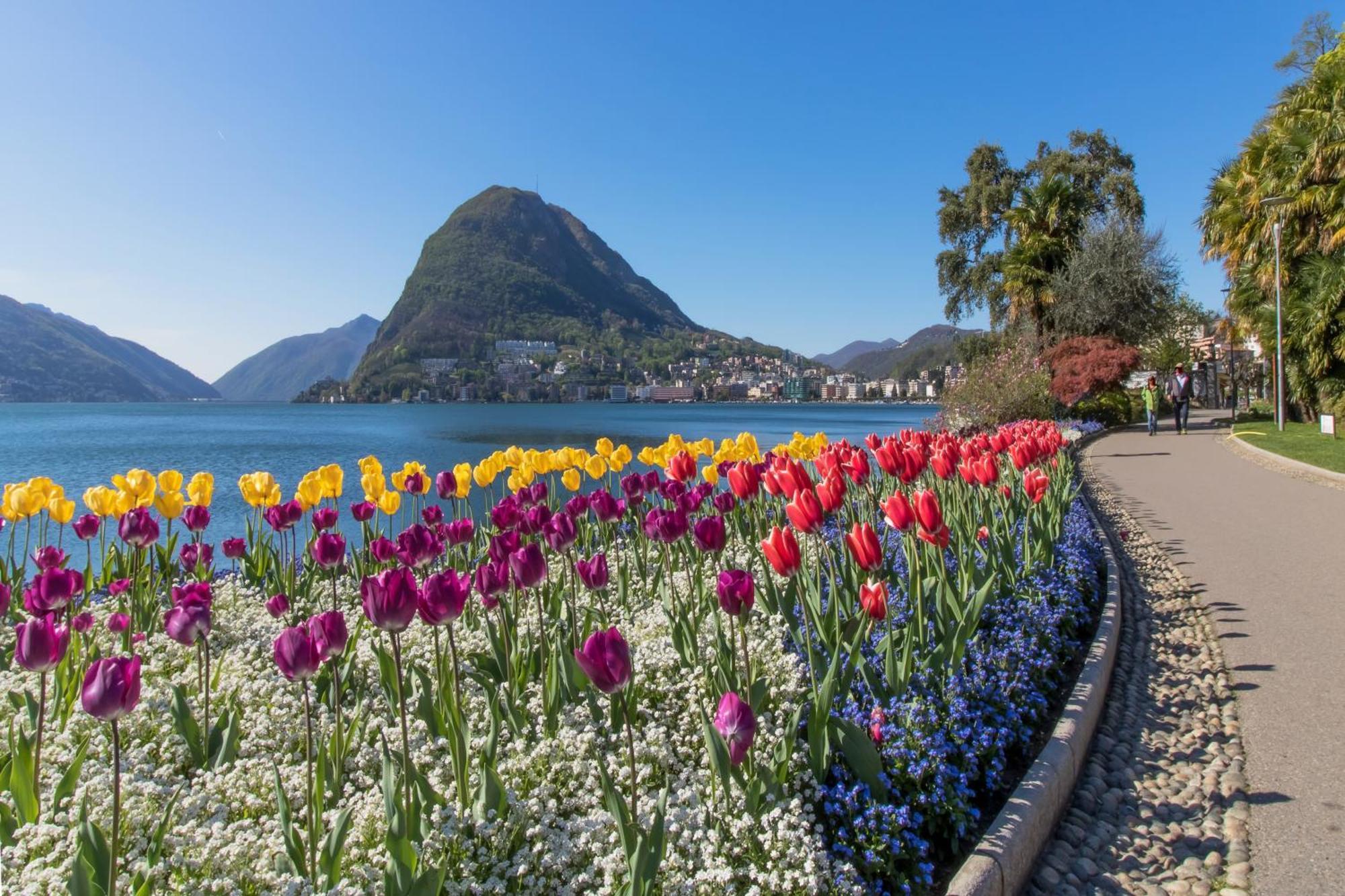 Apartamento Ca' Gina Panoramica Lugano Exterior foto